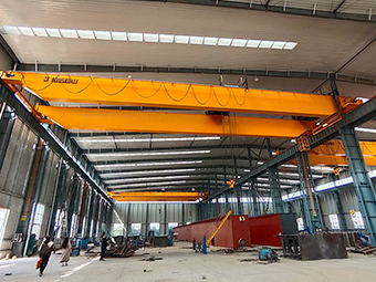 Double Girder Overhead Crane