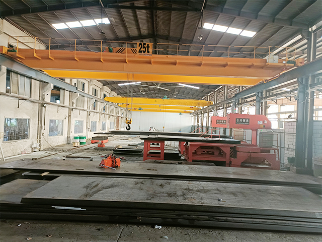 Double Girder Overhead Crane